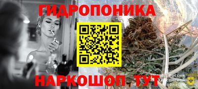 apvp Дубна