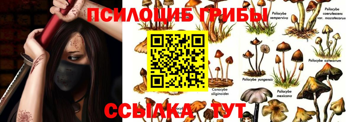 Галлюциногенные грибы Psilocybe  Вход с VPN  Нефтеюганск 
